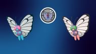 Regular and shiny Butterfree (Image via TPC)